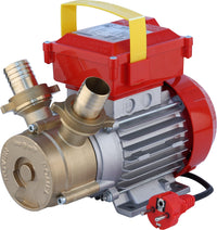 Rover Pompe ELETTROPOMPA DA TRAVASO BE-M 40  Hp 1,2 (Ø mm. 40)