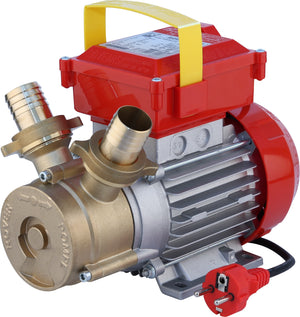 Rover Pompe ELETTROPOMPA DA TRAVASO BE-M 40  Hp 1,2 (Ø mm. 40)