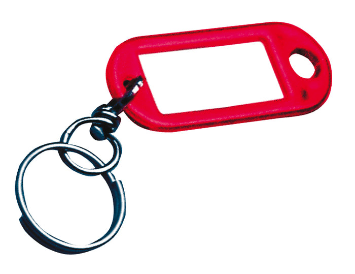 TARGHETTA PORTACHIAVI 100 PZ.  col.Assortiti