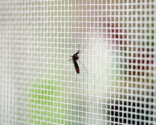 Tata Linda ZANZARIERA MOSCHIERA A ROTOLO ZINCATA MT. 25 Maglia mm. 14x16 H. cm. 60