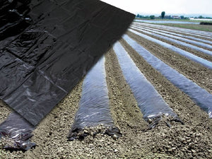 TELO PER PACCIAMATURA SENZA FORI H. cm. 120 Rotolo mtl. 50