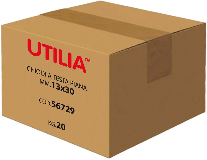 Utilia CHIODO A TESTA PIANA mis. 15x50 mm. 5.00 kg