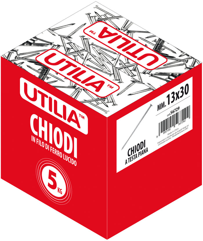 Utilia CHIODO A TESTA PIANA mis. 17x70 mm. 5.00 kg