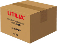 Utilia CHIODO A TESTA PIANA mis. 17x70 mm. 5.00 kg