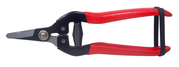 Utilia FORBICI COGLIUVA LAMA CURVA cm. 16 10.00 pz