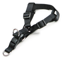 Utilia Pet PETTORALE IN NYLON REGOLABILE  fascia cm. 1,0 col. Assortiti