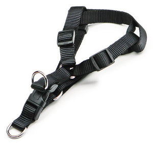 Utilia Pet PETTORALE IN NYLON REGOLABILE  fascia cm. 2,0 col. Assortiti