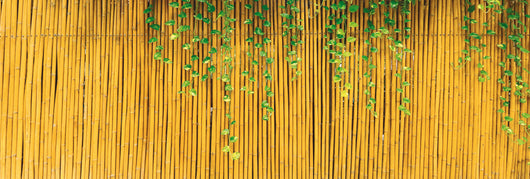 Utilia TOP QUALITY ARELLE IN CANNA DI BAMBÙ Ø mm 15 cm. 150x300