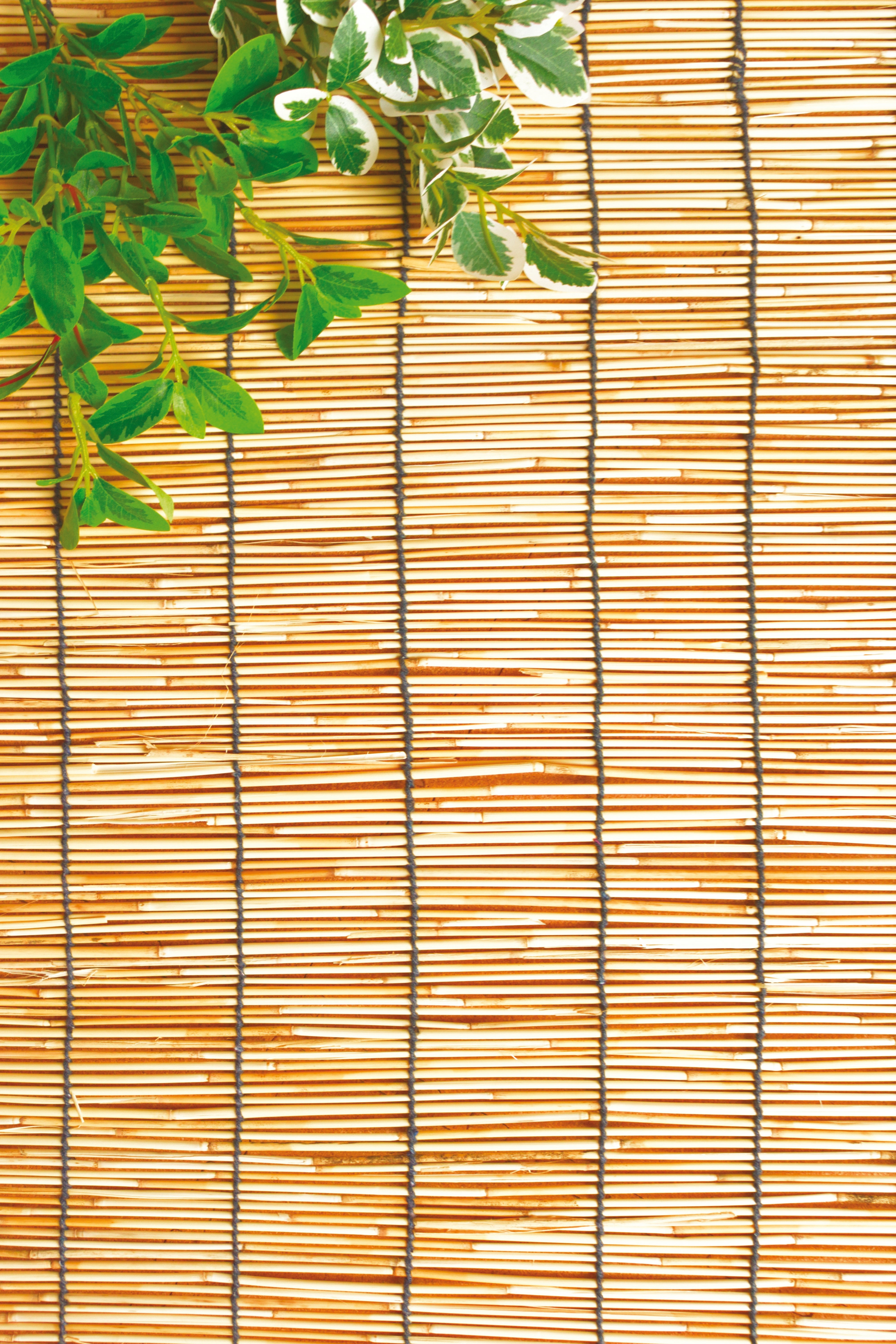 Utilia TOP QUALITY ARELLE STUOIA IN CANNICCIO NATURALE CON CARRUCOLA cm. 150x300 h