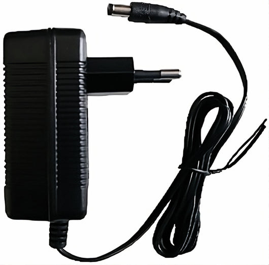 Volpi CARICABATTERIA PER POMPE A ZAINO E FORBICI A BATTERIA 18 W - 1 Ah