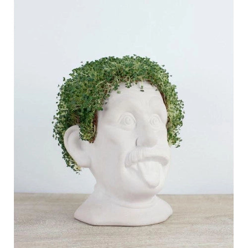 Busto in ceramica per coltivare semi di chia