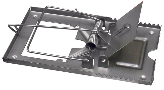 TRAPPOLA PER TOPI  tipo Piccolo 20.00 pz