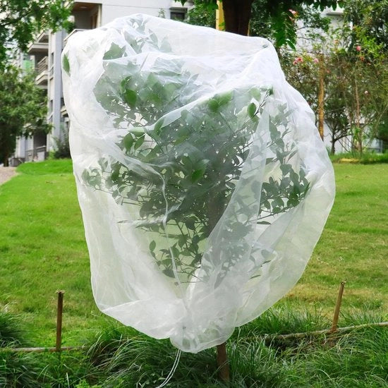 Rete di protezione per frutta e verdura 195x175cm per giardino uccelli - schermo per albicocche fragole e verdure