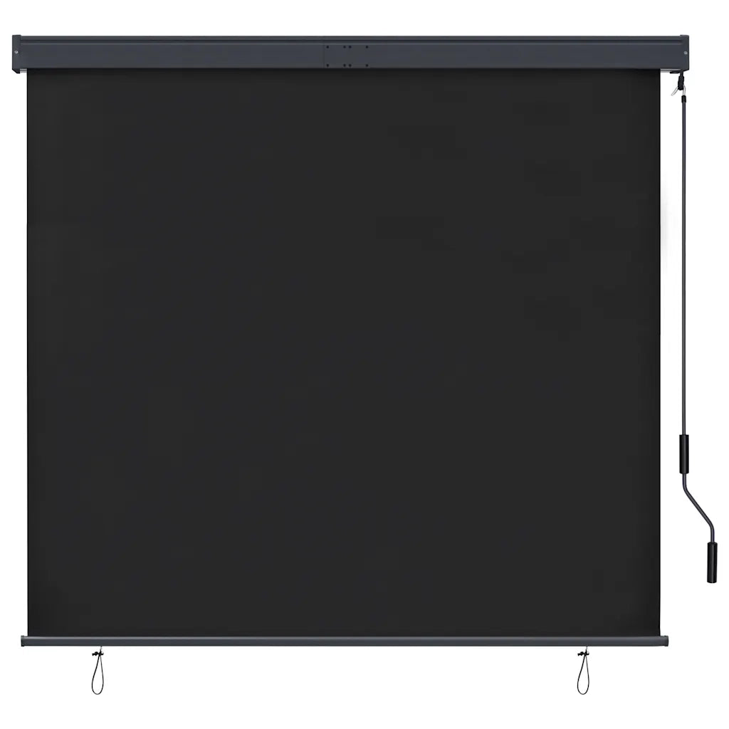 Tenda a Rullo per Esterni 160x250 cm Antracite cod mxl 68273