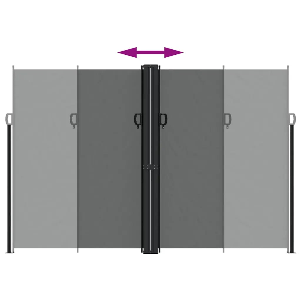 Tenda da Sole Laterale Retrattile Antracite 220x1000 cm 4004778