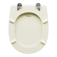 SEDILE WC PER CESAME VASO ARETUSINA CHAMPAGNE FORMA 6- Champagne- CW- pezzi 1