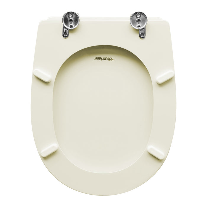 SEDILE WC PER CESAME VASO ARETUSINA CHAMPAGNE FORMA 6- Champagne- CW- pezzi 1