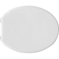 SEDILE WC PER AZZURRA VASO CULT BIANCO FORMA 1- Bianco- CW- pezzi 1