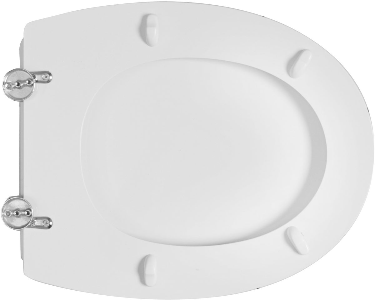 SEDILE WC PER GLOBO VASO AMICA FORMA 6- Bianco- CW- pezzi 1