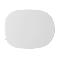 SEDILE WC PER GALASSIA VASO M2 55 FORMA 6- Bianco- CW- pezzi 1