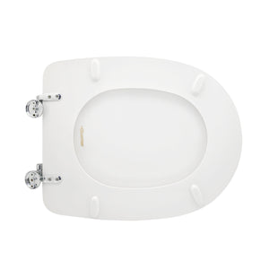 SEDILE WC PER JUMBO VASO ARETHONA FORMA 6- Bianco -Cerniere C espansione- CW- pezzi 1