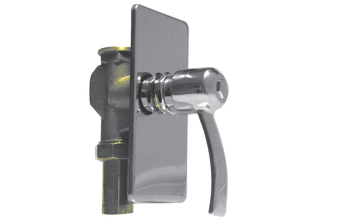 PASSORAPIDO INCASSO CROMATO- 1- DH- pezzi 1