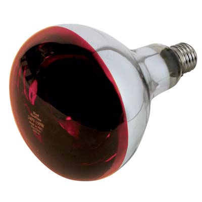 LAMPADA RIFLETTORE PULCINI PHILIPS  INFRAROSSI VOLT 230 WATT 150 E27 MM 125