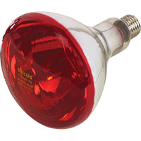 LAMPADA RIFLETTORE PULCINI  INFRAROSSI VOLT 230 WATT 150 E27 MM 125