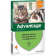 ANTIPARASSITARIO ADVANTAGE GATTI ELANCO - KG  0/4 CF=PZ 4- 1 confezioni
