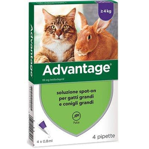 ANTIPARASSITARIO ADVANTAGE GATTI ELANCO - KG  4+ CF=PZ 4- 1 confezioni