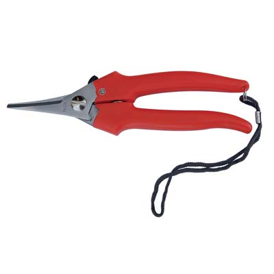 FORBICE RACCOLTA A PUNTA STRETTA AUSONIA - CM 19- 12 pezzi