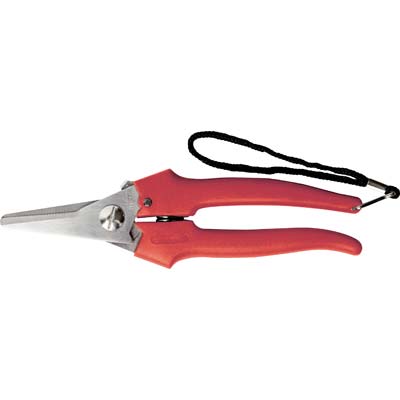 FORBICE RACCOLTA A PUNTA LARGA AUSONIA - CM 19- 12 pezzi