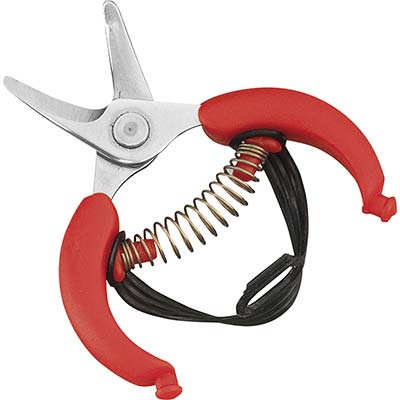 FORBICE RACCOLTA AGRUMI AUSONIA - MM 105- 3 pezzi