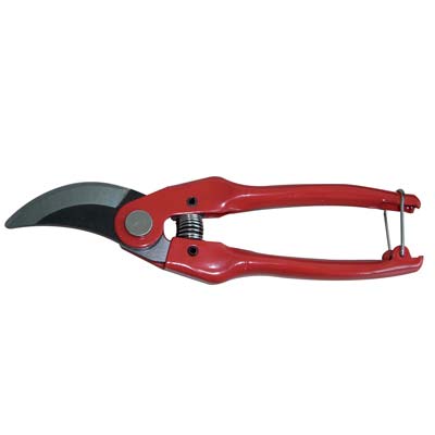 FORBICE POTA P126 STARS - CM 19- 12 pezzi