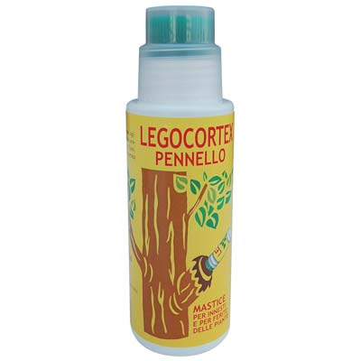 MASTICE X INNESTO LEGOCORTEX COPYR - GR  250 + PENNELLO- 4 pezzi