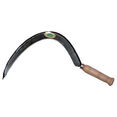 FALCIOLA MARCHE + COSTA 331 LEONELLI  ACCIAIO FORGIATO n°1