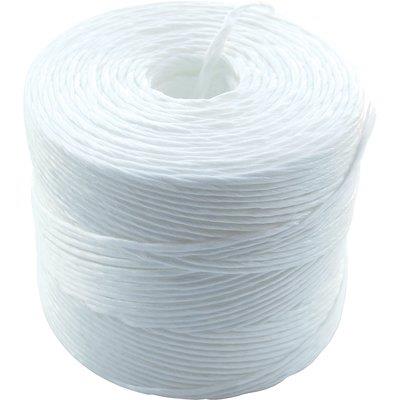 SPAGO POLIPROPILENE SINTEX - MT/KG  300 CF=KG 12 CA- 1 confezioni