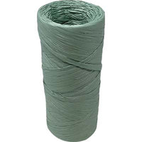 RAFIA SINTEX SELF - VERDE GR 100 CA- 10 pezzi
