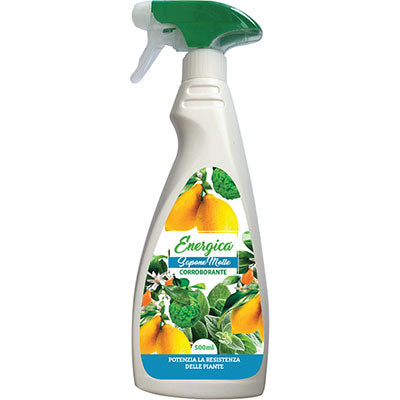 CORROBORANTE SAPONE MOLLE SPRAY ENERGICA - ML 500- 6 pezzi