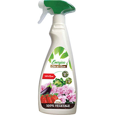INSETTICIDA OLIO NEEM SPRAY ENERGICA - GR 500- 6 pezzi