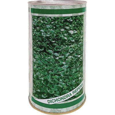 SEME PRATO DICHONDRA REPENS - GR 500- 2 pezzi