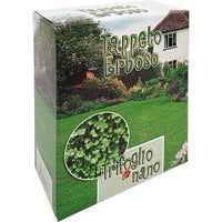 SEME PRATO TRIFOGLIO REPENS NANO - GR 500- 2 pezzi