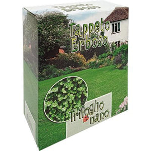 SEME PRATO TRIFOGLIO REPENS NANO - GR 500- 2 pezzi