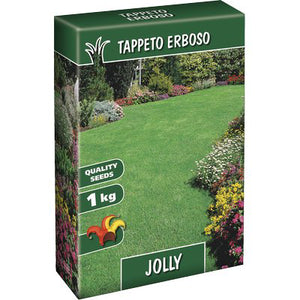 SEME PRATO JOLLY  KG 1