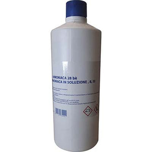 AMMONIACA PURA 28BE - LT 1- 12 pezzi