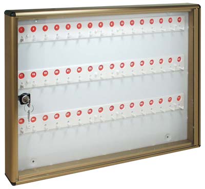 BACHECA PORTA CHIAVI ALUBOX  ALLUMINIO BRONZATO CHIAVI 48 MM 550X50 H.MM 400