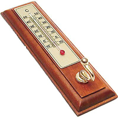 TERMOMETRO PRONTY - LEGNO -10/+50  °C CM 175X40- 2 pezzi