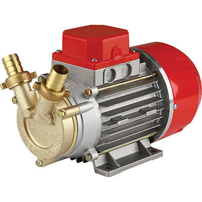 ELETTROPOMPA TRAVASO GASOLIO MARINA 20 ROVER  12 VOLT HP 0,5 LT/H 1700 H.MAX MT 24 MM 20