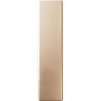 PLACCA AVVOLGITORE CIECA UNIVERSALE - ABS ORO MM 65X250- 5 pezzi