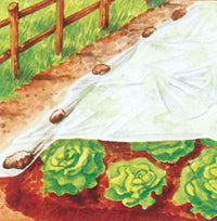 TELO ANTIGELO TNT PESANTE PROTEZIONE PIANTE STARS  BIANCO GR/MQ 30 L.MT 250 H.CM 160